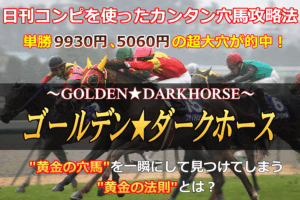 ゴールデン★ダークホース定価：¥4,800