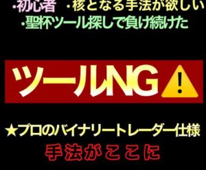 プロバイナリートレーダーが行き着く最強手法教えます raw21