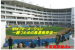 WINフォーメーション～勝つための馬連馬券法～ 定価：¥8,200