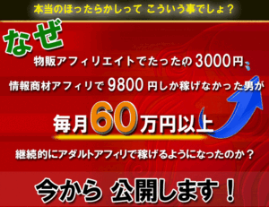 アダルトアフィリエイト～究極～