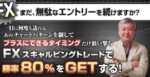鶴式FX　スキャルピング・プラス 定価：¥29,800