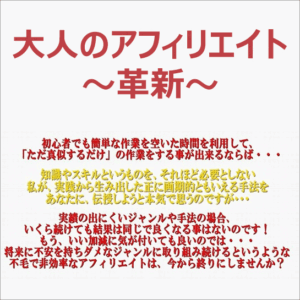 大人のアフィリエイト～革新～