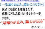 佐藤式 耳鳴り・難聴・めまい改善術 定価：¥16,800
