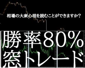 これを極めれば勝てる！大衆心理入門　勝率80%窓トレード手法　セット