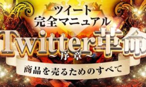 【Twitter革命～序章～】ノウハウコレクターを解放する唯一無二の参加型コンテンツ もも Twitter革命(10部ごとに値上がります)