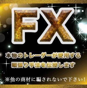 本物のFX投資を教えます　mcfx　　※手法部分のみ
