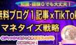 【累計3000万円】無料ブログ1記事×TikTokで毎月6桁、7桁を安定させるマネタイズ戦略 Rin