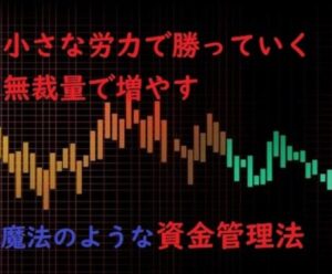 会社員向け！スマホのみで貯蓄を増やすFX教えます FXがあれば増税時代も安心