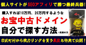 お宝中古ドメインを自分で探す方法＆パワーのある中古ドメインの見極め方 エノさん｜ゼロイチ起業の種まき