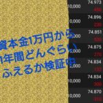固定概念を捨てシンプルなFXロジックで取引できます 石油女王