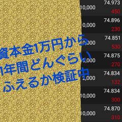 固定概念を捨てシンプルなFXロジックで取引できます 石油女王