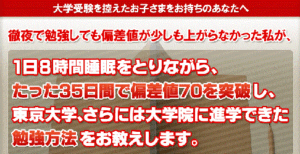 東京大学法学部受験突破の勉強法 「不器用だからできる“逆転合格の極意”」