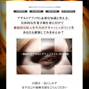 一騎当千のアダルトアフィリ-2013年版