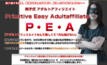 P・E・A – アダルトアフィリエイトで稼ぐ方法 広末陽子