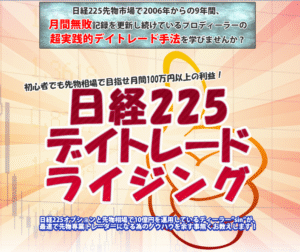 日経225デイトレードライジング 定価：¥29,800