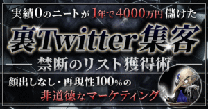 【0から1年で4000万円儲けた】裏Twitter集客 − 非道徳にリストを集めまくる − BEN