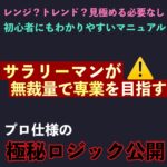 結論】プロFXトレーダーが教える最強無裁量教えます raw21