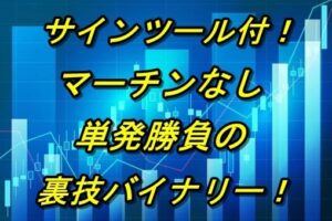 マーチンなしの単発のみ！裏技バイナリー教えます ルシアークス＠投資家兼SNSマーケッター