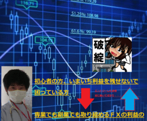 高い再現性！初心者でもFX専業になれる近道教えます おたんこ☆ナース