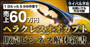 【たった3ヶ月で60万円】虫嫌いなアナタでも不労所得が手に入る。ヘラクレスオオカブト販売ビジネス解体新書　まつもと