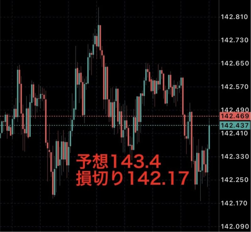 FOREX KINGトレードの神髄応用編教えます 王様 EA専業と海外FXブログ管理人