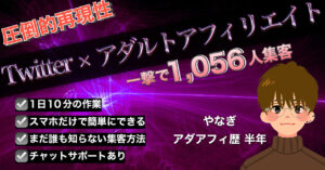 【日給6,129円】たった5日で2,626人のフォロワーを増やした裏技大公開！【アダルトアフィリエイト】　たい