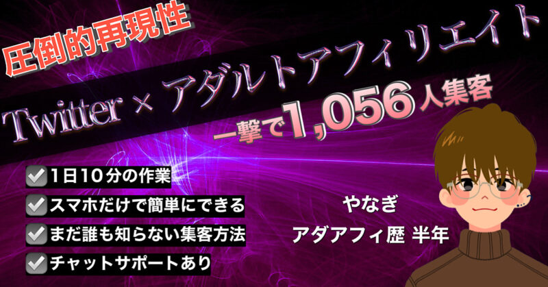 【日給6,129円】たった5日で2,626人のフォロワーを増やした裏技大公開！【アダルトアフィリエイト】　たい