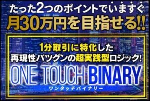 ONE TOUCH BINARY（ワンタッチバイナリー） はたけ