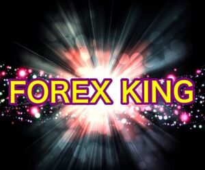 FX上級者への最短ルート、秘伝の手法教えます 王様 EA専業と海外FXブログ管理人