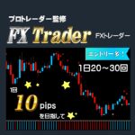FXのプロトレーダーが使うトレード手法になります　FX南沢