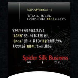 月額70～80万円の不労所得構築法【SSB】蜘蛛糸ビジネス