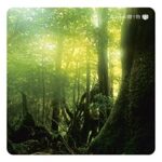 <音のアロマテラピー>森からの贈り物　―　神山純一 定価：¥2,000