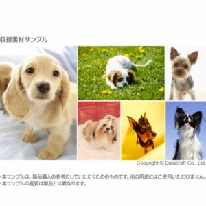 素材辞典【Vol.159】犬 – ラブリードッグ編