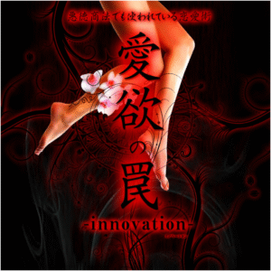愛欲の罠-innovation- 定価：¥8,400