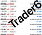 Trader6 専業が使用する㊙️ライントレード手法お伝えします 【ココナラ】