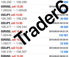 Trader6 専業が使用する㊙️ライントレード手法お伝えします 【ココナラ】