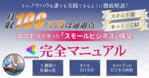 【スキル不要｜初月から黒字化当たり前】ココナラを使った「スモールビジネス」構築完全マニュアル nemi