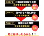 ほったらかしでOKなFX投資法教えます 兼業トレーダーヒロ