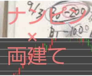 ナンピンと両建てを共存させたＦＸ手法を教えます 普通じゃつまらない。ナンピン両建てオタクをなめるなよ。。。　エジソンママ