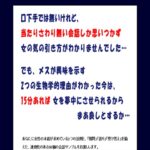 女を夢中にさせる会話術 －The Power Word－ 定価：¥4,700