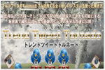 Twitterで稼ぐ方法TTTサポート無し版