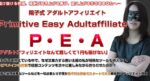 P・E・A – アダルトアフィリエイトで稼ぐ方法 広末陽子
