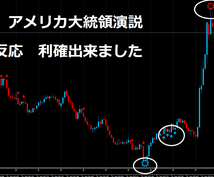 MT4導入後ほったらかしFXになります 茶太郎なのだ