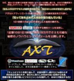 AXT - アダルトアフィリエイトで稼ぐ初心者向けの丁寧な方法 小沢真一