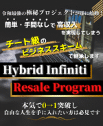 ハイブリッド・インフィニティ・リセール・プログラム（HIRP） 田中怜緒