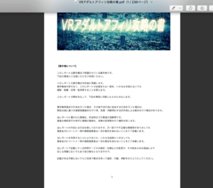 VRアダルトアフィリ攻略の書　SHIRO