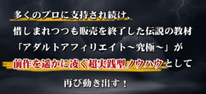 新アダルトアフィリエイト究極