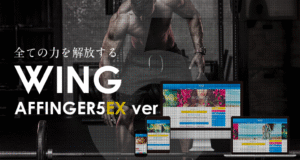 AFFINGER5EX（アフィンガー）