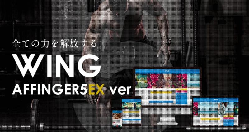 AFFINGER5EX（アフィンガー）