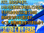 勝ち組FX道場（版） 定価：¥14,800